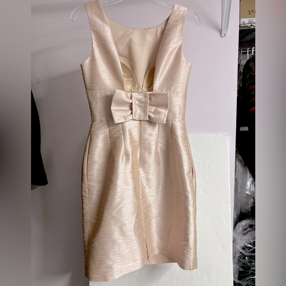 Alfred Sung Women’s Boatneck Sleeveless Dress, Small, Pearl Pink, Open Back - Picture 2 of 2